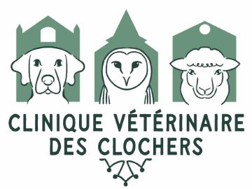 Image clinique